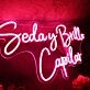 Seday Brillo Capilar Red Neon Sign
