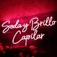 Seday Brillo Capilar Red Neon Sign