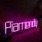 Piamendy Pink Neon Sign