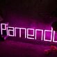 Piamendy Pink Neon Sign