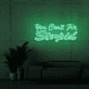 You can't fix stupid Neon Signs