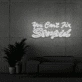 You can't fix stupid Neon Signs