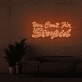 You can't fix stupid Neon Signs