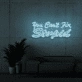 You can't fix stupid Neon Signs