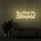 You can't fix stupid Neon Signs
