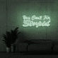You can't fix stupid Neon Signs