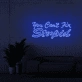 You can't fix stupid Neon Signs