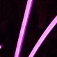 Noqa Purple Neon Sign