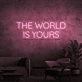 The world is yours neon sign