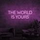 The world is yours neon sign
