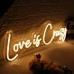 Love Is Crazy Yellow Neon Sign