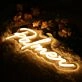 Palmer Yellow Neon Sign