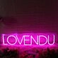 LOVENDU Pink Neon Sign