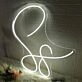 S8 White Neon Sign