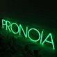 Pronoia Green Neon Sign