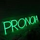 Pronoia Green Neon Sign