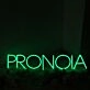 Pronoia Green Neon Sign