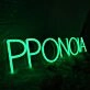 Pronoia Green Neon Sign