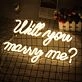Will You Be My Girlfriend Neon Sign