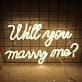 Will You Be My Girlfriend Neon Sign