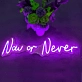 Now or Never LED Sign