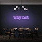 Why Not LED Neon Sign