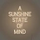 A Sunshine State of Mind LED Sign
