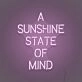 A Sunshine State of Mind LED Sign