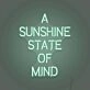 A Sunshine State of Mind LED Sign