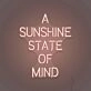 A Sunshine State of Mind LED Sign