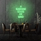 A Sunshine State of Mind LED Sign