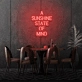 A Sunshine State of Mind LED Sign