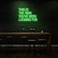 This is the sign you've been looking for LED Neon Sign