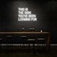 This is the sign you've been looking for LED Neon Sign