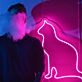 Cat silhouette LED neon sign