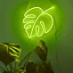 Turtleback Bamboo Plant Leaves Decorative Neon Sign