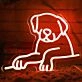 Cute Dog  Neon Sign