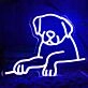 Cute Dog  Neon Sign