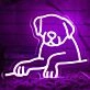 Cute Dog  Neon Sign