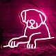 Cute Dog  Neon Sign