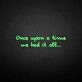 'once upon a time we had it all' neon sign