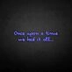 'once upon a time we had it all' neon sign