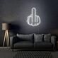 Fuck You Neon Bold and Direct Statement