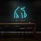 Sexy Woman Side Profile Neon Art Feminine Form Celebrated