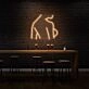 Sexy Woman Side Profile Neon Art Feminine Form Celebrated