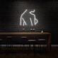 Sexy Woman Side Profile Neon Art Feminine Form Celebrated
