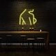 Sexy Woman Side Profile Neon Art Feminine Form Celebrated