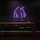 Sexy Woman Side Profile Neon Art Feminine Form Celebrated