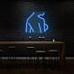 Sexy Woman Side Profile Neon Art Feminine Form Celebrated