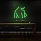 Sexy Woman Side Profile Neon Art Feminine Form Celebrated